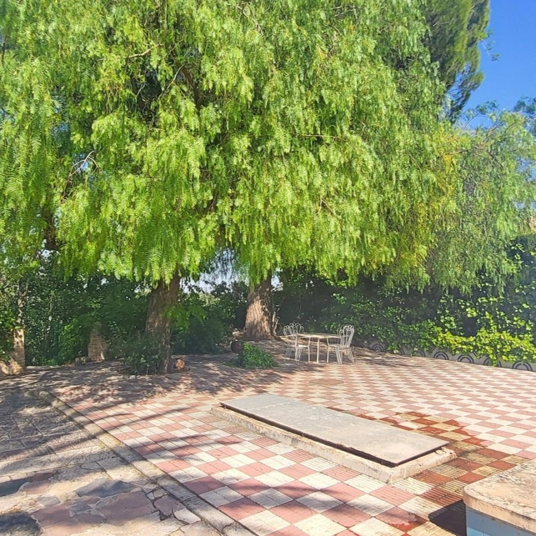 Villa in Novelda (Ref: 2503)