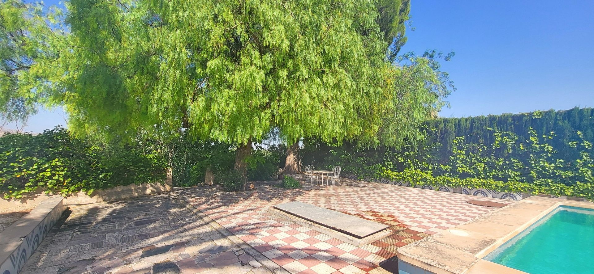 Villa in Novelda (Ref: 2503)