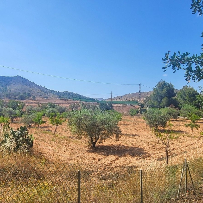 Villa in Hondón de las Nieves (Ref: 2502)