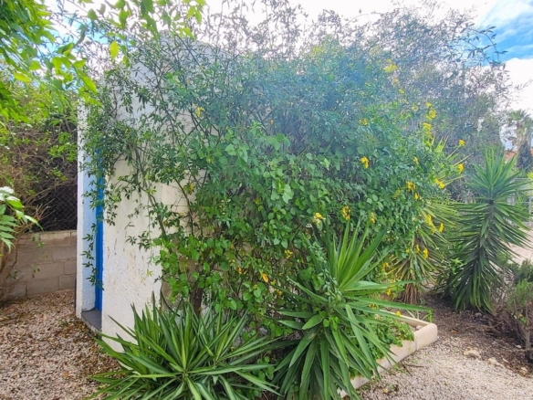 Villa in Aspe (Ref: 2492)