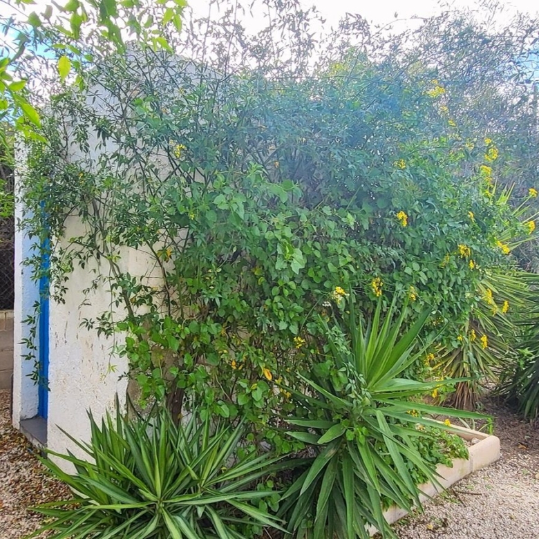 Villa in Aspe (Ref: 2492)