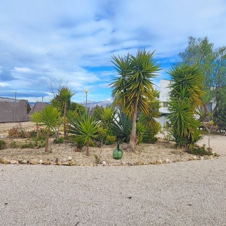 Villa in Aspe (Ref: 2492)