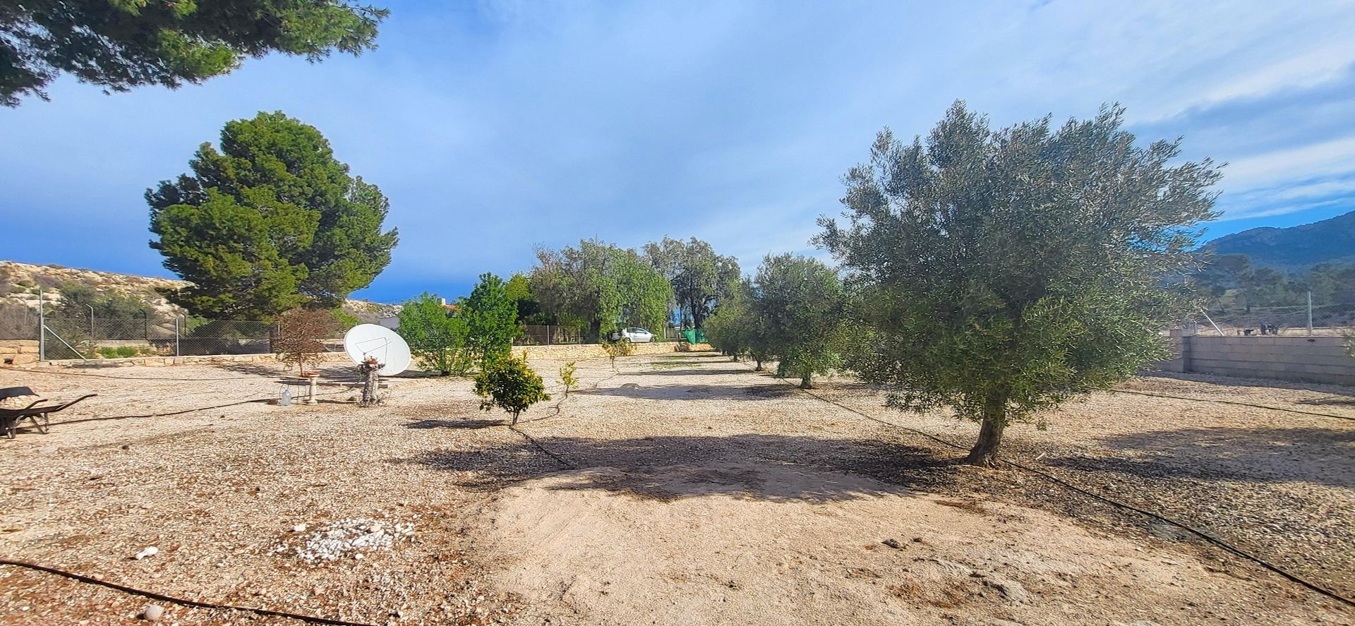 Country house in Monóvar (Ref: 2496)
