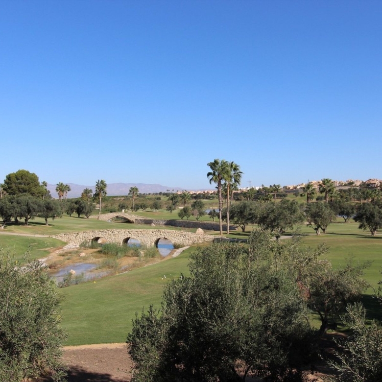Villa in Algorfa (Ref: 2421)
