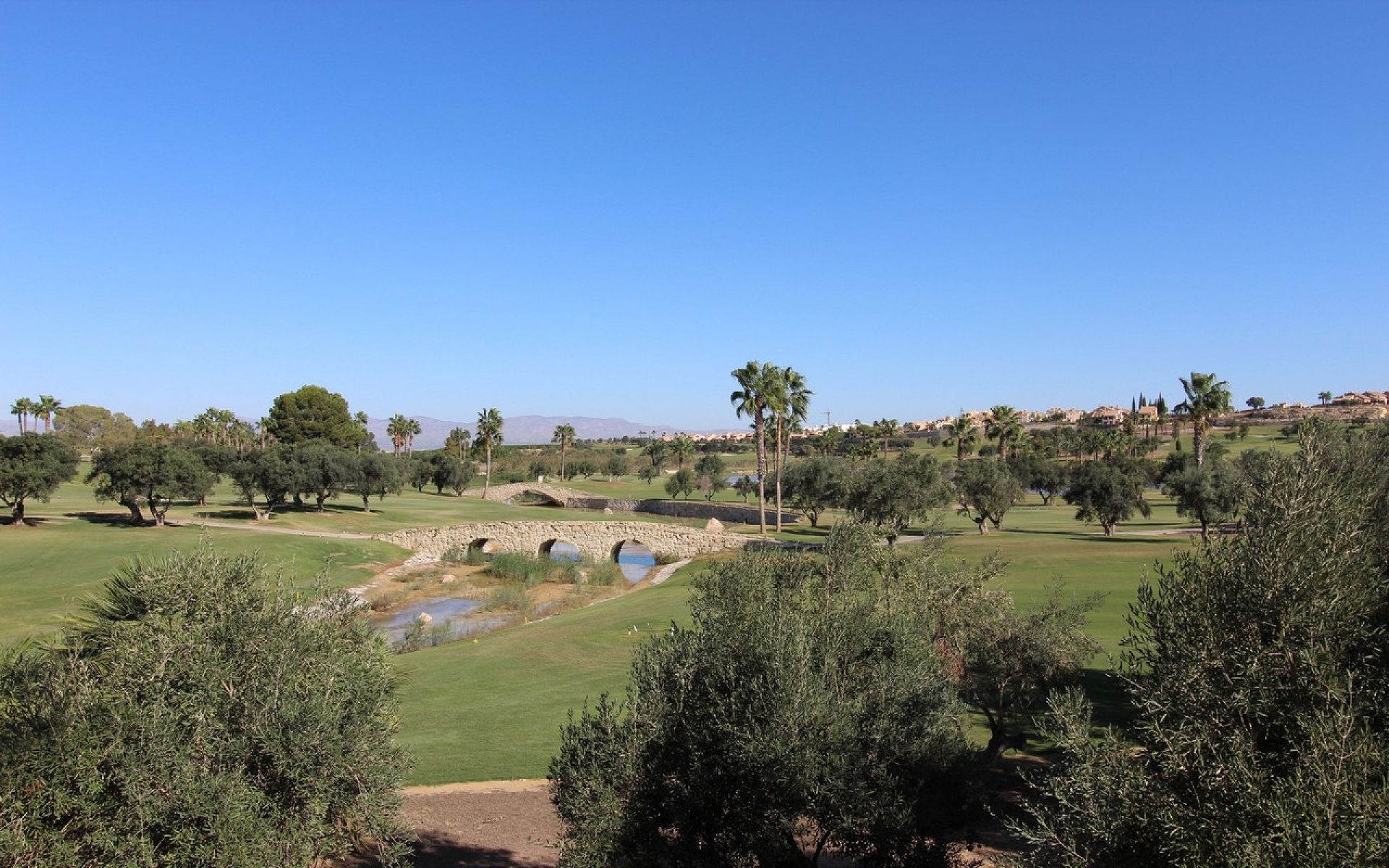 Villa in Algorfa (Ref: 2421)