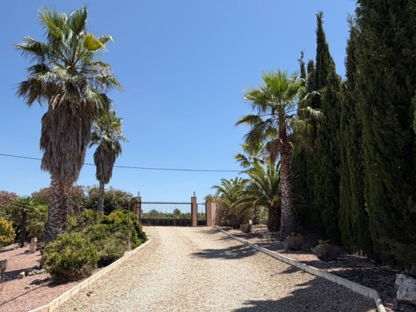 Country House in Pinoso (Ref: DOSI-3679)
