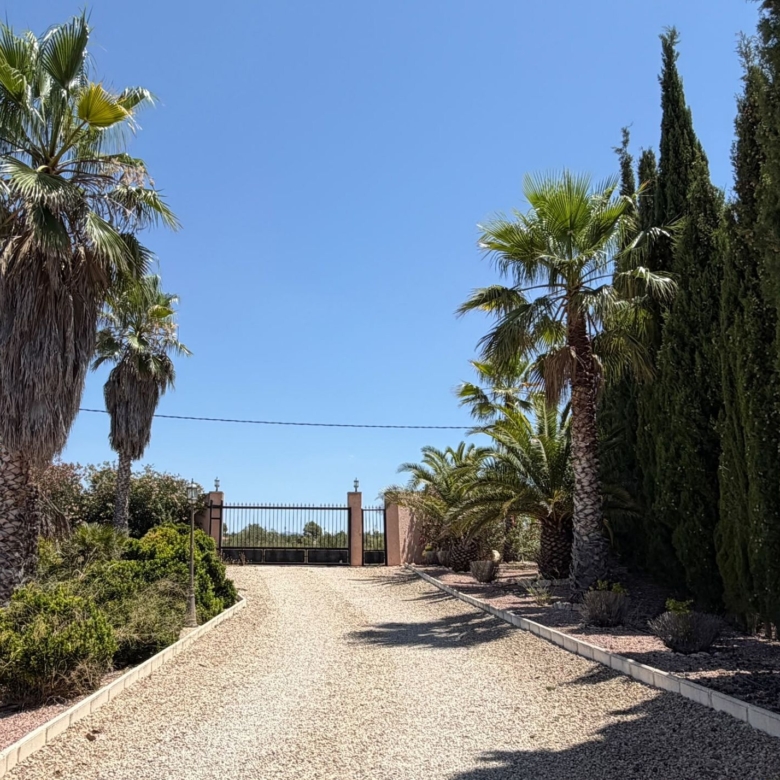 Country House in Pinoso (Ref: DOSI-3679)