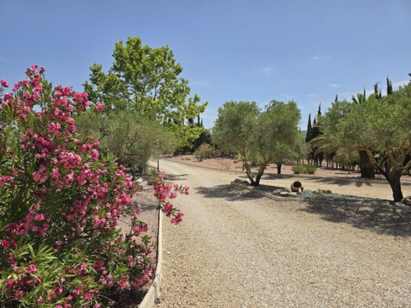 Country House in Pinoso (Ref: DOSI-3679)