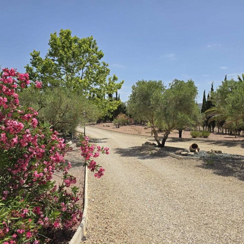 Country House in Pinoso (Ref: DOSI-3679)
