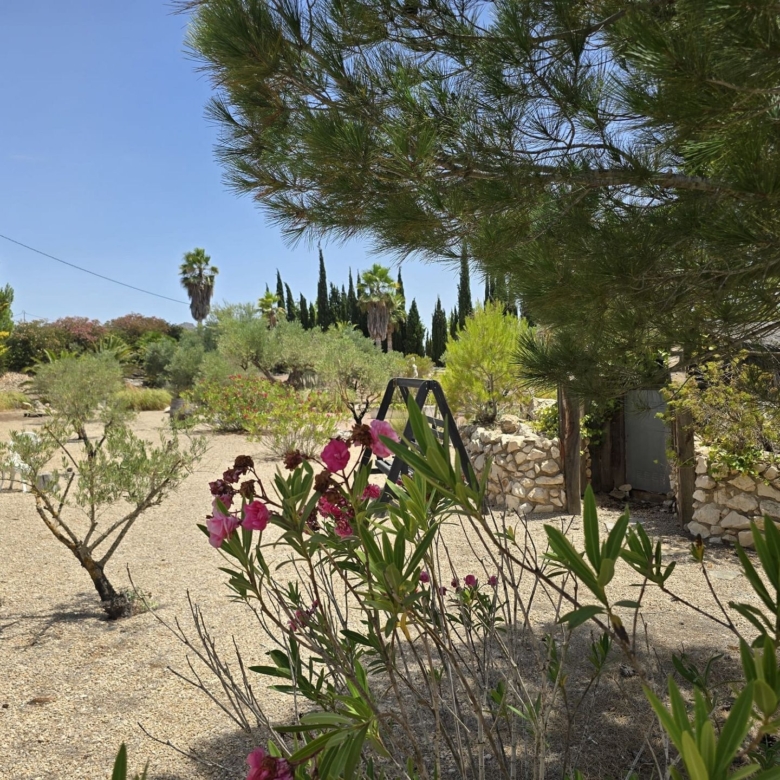 Country House in Pinoso (Ref: DOSI-3679)