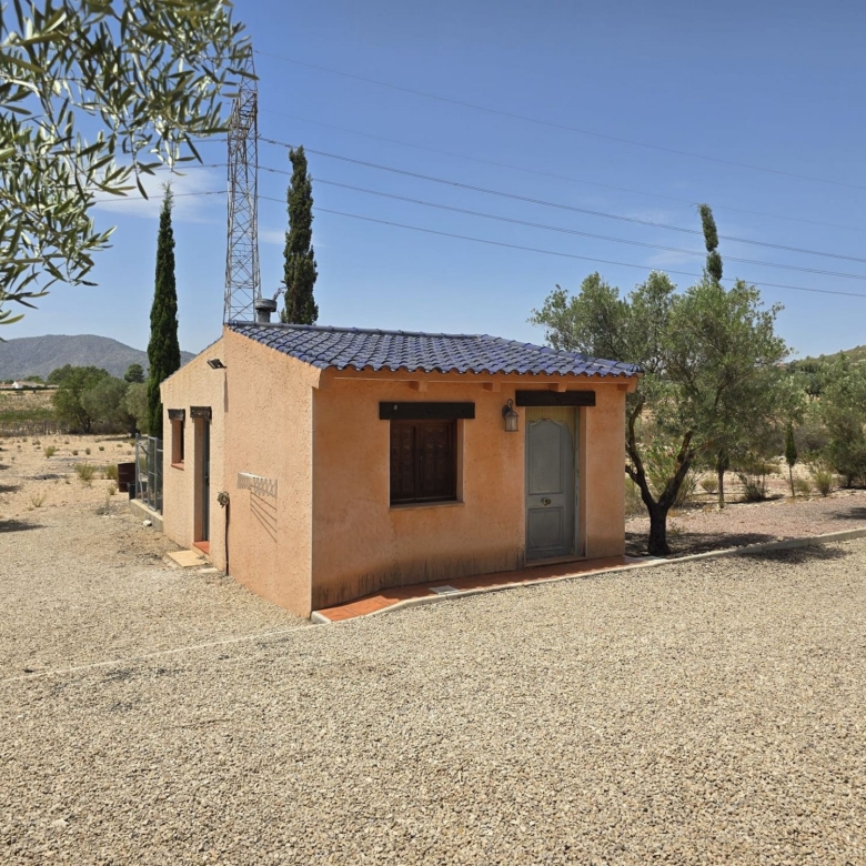 Country House in Pinoso (Ref: DOSI-3679)